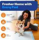 AKC Dog Training Pads — XL 28" x 30"