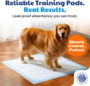 AKC Dog Training Pads — XL 28" x 30"