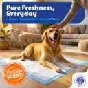 AKC Dog Training Pads — XL 28" x 30"