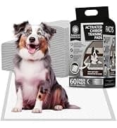AKC Dog Training Pads — XL 28" x 30" — collection imagery