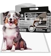 AKC Dog Training Pads — XL 28" x 30" — collection imagery