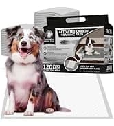 AKC Dog Training Pads — XL 28" x 30" — collection imagery