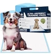 AKC Dog Training Pads — XL 28" x 30" — collection imagery