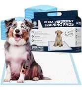 AKC Dog Training Pads — XL 28" x 30" — collection imagery