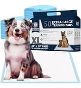 AKC Dog Training Pads — XL 28" x 30" — collection imagery