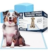 AKC Dog Training Pads — XL 28" x 30" — collection imagery