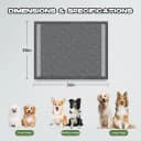 Dog Pee Pads for Dogs XXL 30"x36" 50 Count with Adhesive Tabs