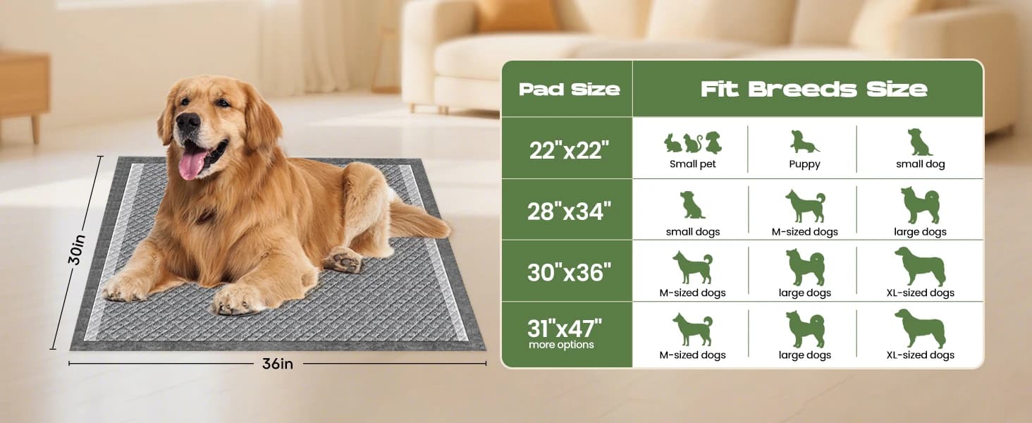 Dog Pee Pads for Dogs XXL 30"x36" 50 Count with Adhesive Tabs — product details
