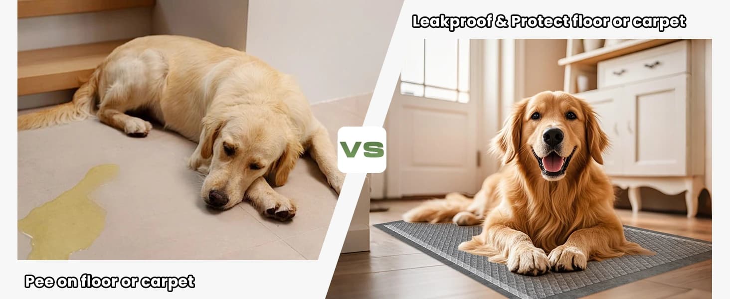 Dog Pee Pads for Dogs XXL 30"x36" 50 Count with Adhesive Tabs — product details