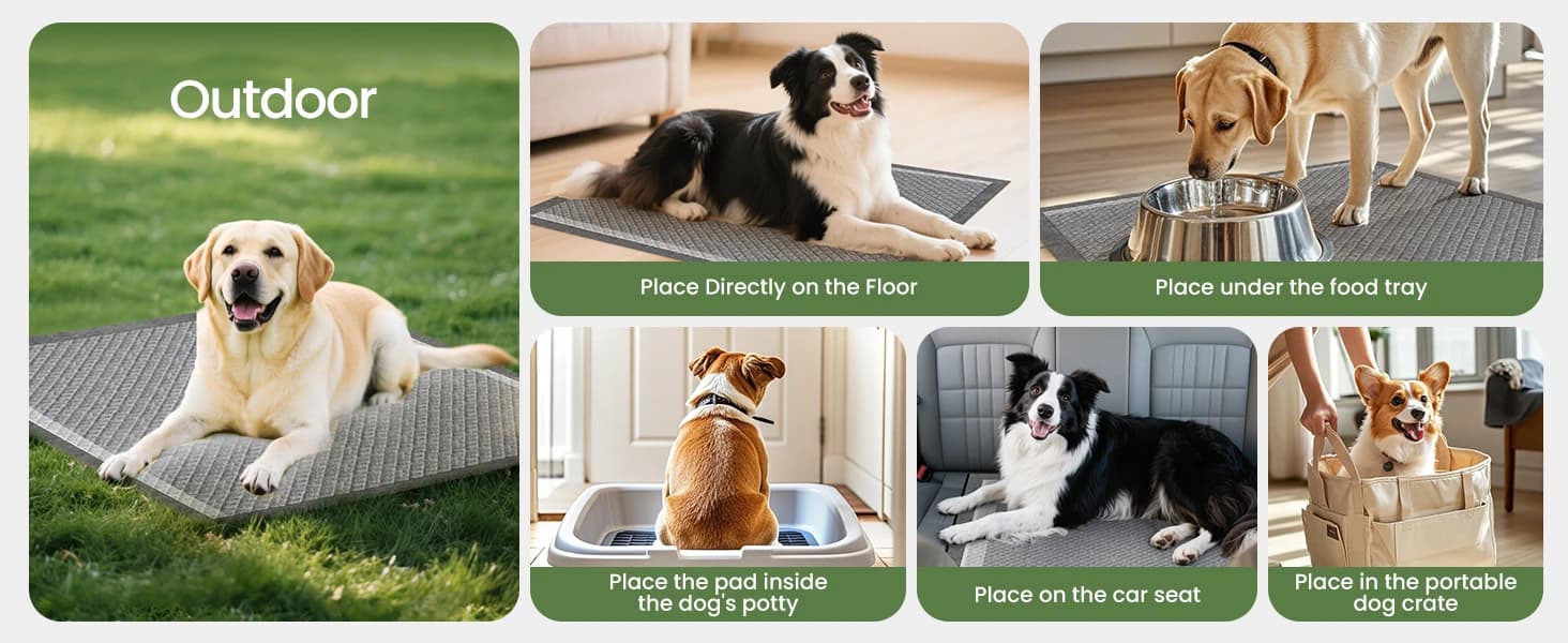 Dog Pee Pads for Dogs XXL 30"x36" 50 Count with Adhesive Tabs — product details