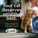 Cat litter box liners — Elastic bags liners