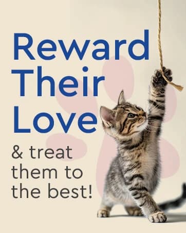 Cat litter box liners — Elastic bags liners — collection imagery