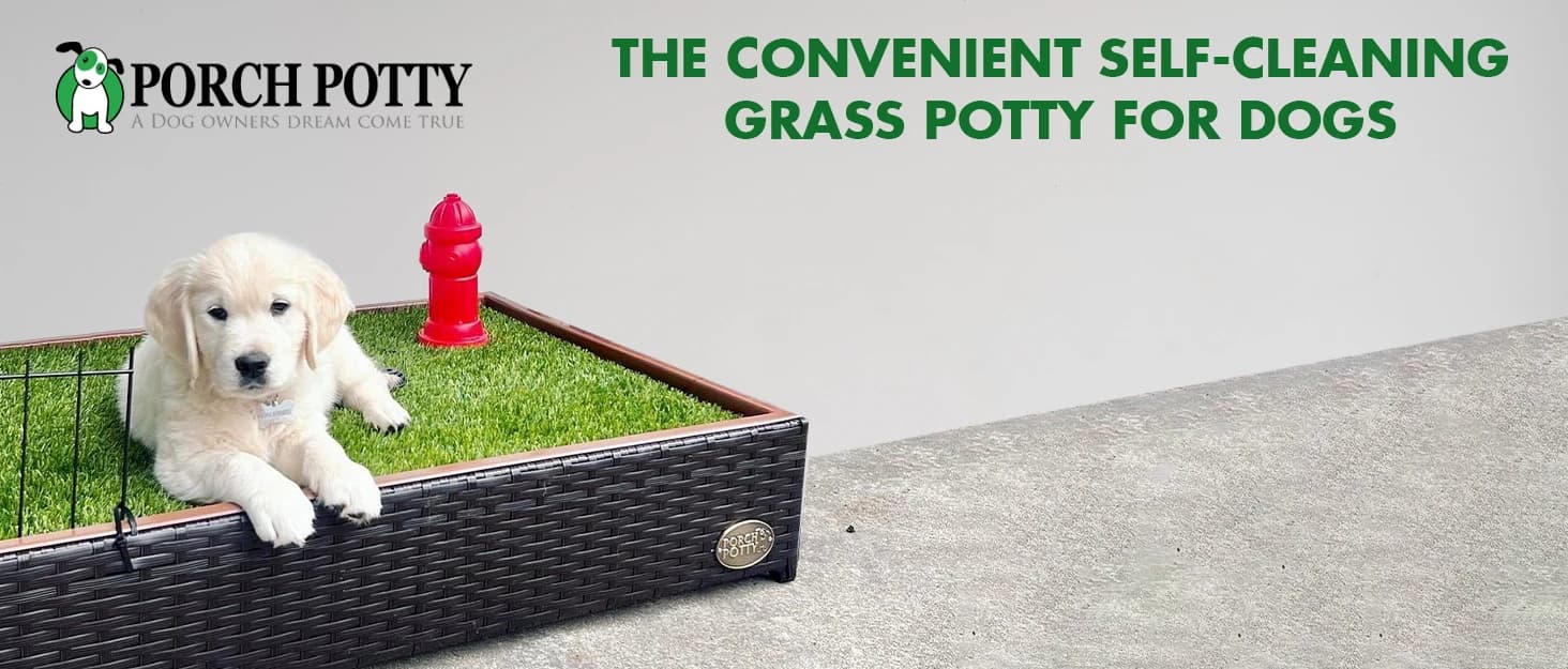 Standard Dog Grass Pad - Indoor Dog Potty with Artificial Grass and Self-Draining Tray - Reusable Dog Potty for โ collection imagery