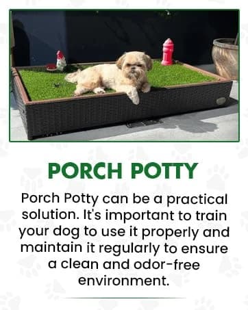 Standard Dog Grass Pad - Indoor Dog Potty with Artificial Grass and Self-Draining Tray - Reusable Dog Potty for โ collection imagery