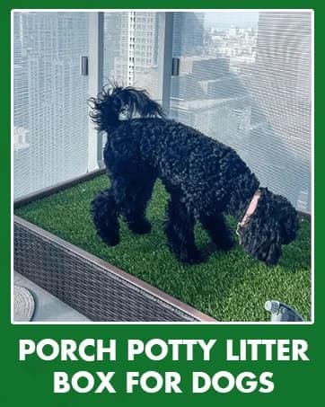 Standard Dog Grass Pad - Indoor Dog Potty with Artificial Grass and Self-Draining Tray - Reusable Dog Potty for โ collection imagery