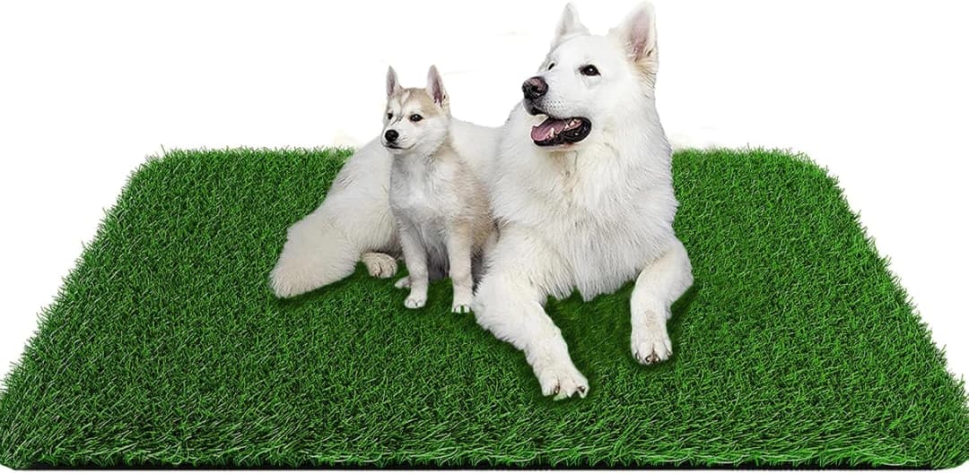 Fake Grass Pad for Dogs Potty Training Artificial Turf — 39.3x31.5in
