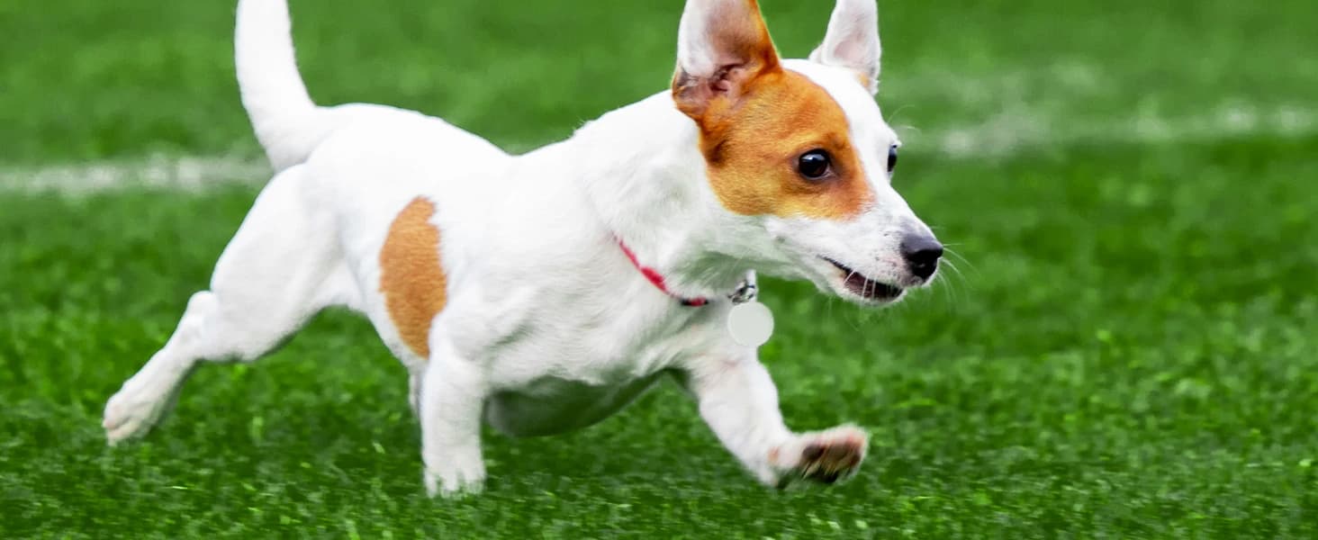 Fake Grass Pad for Dogs Potty Training Artificial Turf — 39.3x31.5in — Help dogs potty training