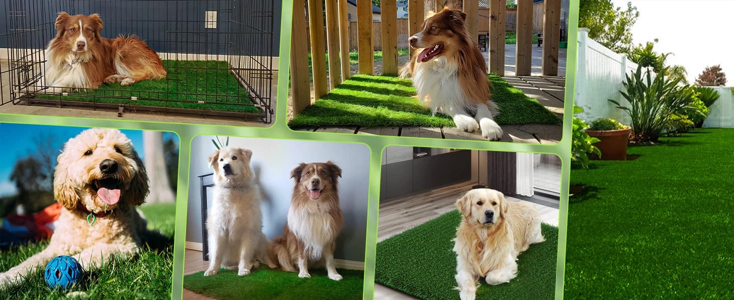 Fake Grass Pad for Dogs Potty Training Artificial Turf — 39.3x31.5in — product details