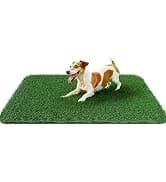 Fake Grass Pad for Dogs Potty Training Artificial Turf — 39.3x31.5in — collection imagery