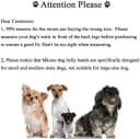 Belly Bands for Male Dogs — 3 Pack Reusable Dog Diapers