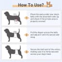 Belly Bands for Male Dogs — 3 Pack Reusable Dog Diapers