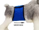 Belly Bands for Male Dogs — 3 Pack Reusable Dog Diapers