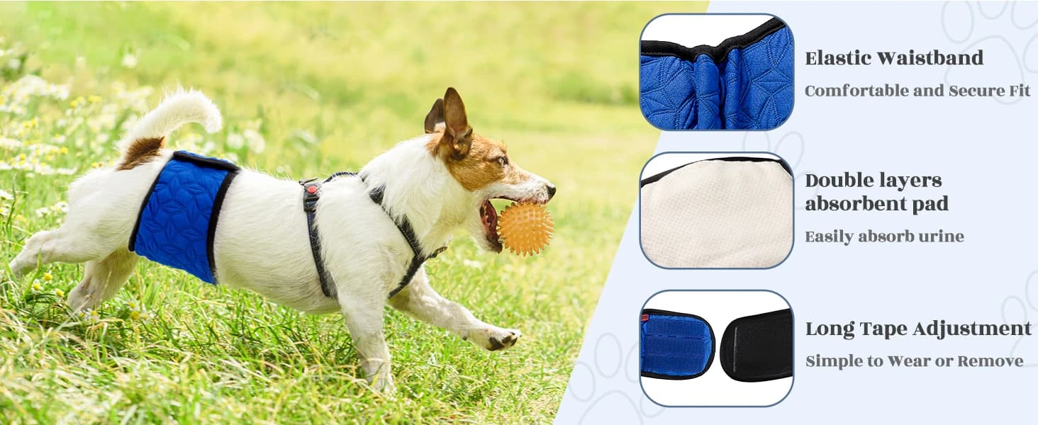 Belly Bands for Male Dogs — 3 Pack Reusable Dog Diapers — product details