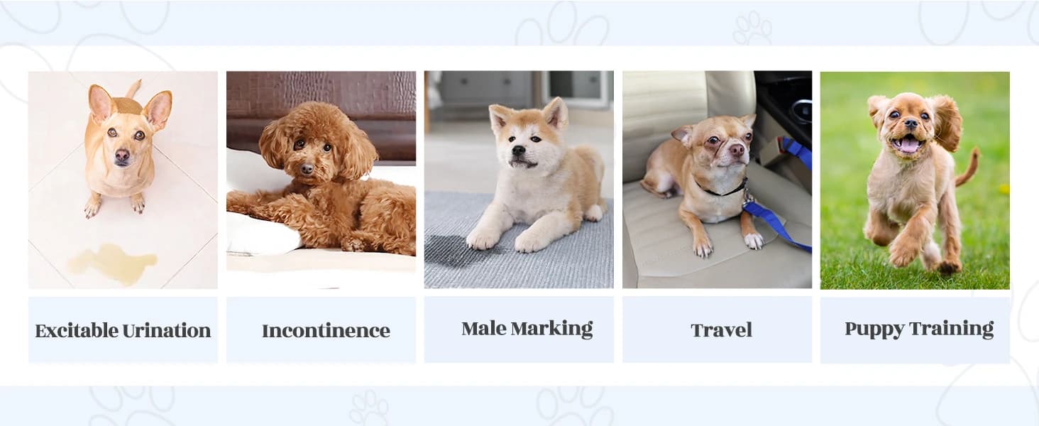 Belly Bands for Male Dogs — 3 Pack Reusable Dog Diapers — Stylish and cute male dog diaper for any occasion