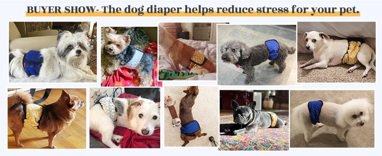 Belly Bands for Male Dogs — 3 Pack Reusable Dog Diapers — product details