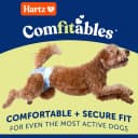 Disposable Dog Diapers — Size S 36 count