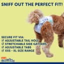 Disposable Dog Diapers — Size S 36 count