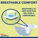 Disposable Dog Diapers — Size S 36 count