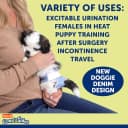 Disposable Dog Diapers — Size S 36 count