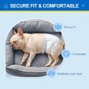 100 Count Dog Belly Bands for Male Dogs