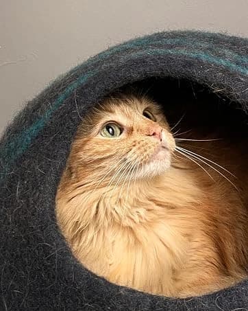 Cat Cave - Merino Wool Bed for Indoor Cats (Dark Gray — collection imagery