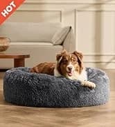 Cat House Bed for Indoor Cats with Fluffy Ball and Scratch Pad — collection imagery