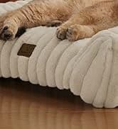 ComfyFleece Shown on TV Fluffy Cute Cat Couch for Pets — 24in — collection imagery