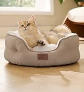 Cat House Bed for Indoor Cats with Fluffy Ball and Scratch Pad — collection imagery