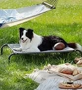 Cat House Bed for Indoor Cats with Fluffy Ball and Scratch Pad — collection imagery