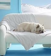 Cat House Bed for Indoor Cats with Fluffy Ball and Scratch Pad — collection imagery