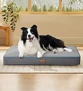 Cat House Bed for Indoor Cats with Fluffy Ball and Scratch Pad — collection imagery