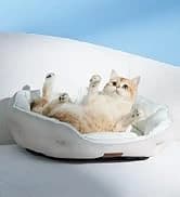 Cat House Bed for Indoor Cats with Fluffy Ball and Scratch Pad — collection imagery