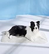 Cat House Bed for Indoor Cats with Fluffy Ball and Scratch Pad — collection imagery