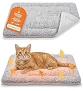 Self Warming Cat Bed — 2.0 Upgraded Thermal Mat for Indoor Cats — collection imagery