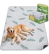 Self Warming Cat Bed — 2.0 Upgraded Thermal Mat for Indoor Cats — collection imagery