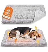 Self Warming Cat Bed — 2.0 Upgraded Thermal Mat for Indoor Cats — collection imagery