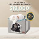 Cat House Bed for Indoor Cats with Fluffy Ball and Scratch Pad
