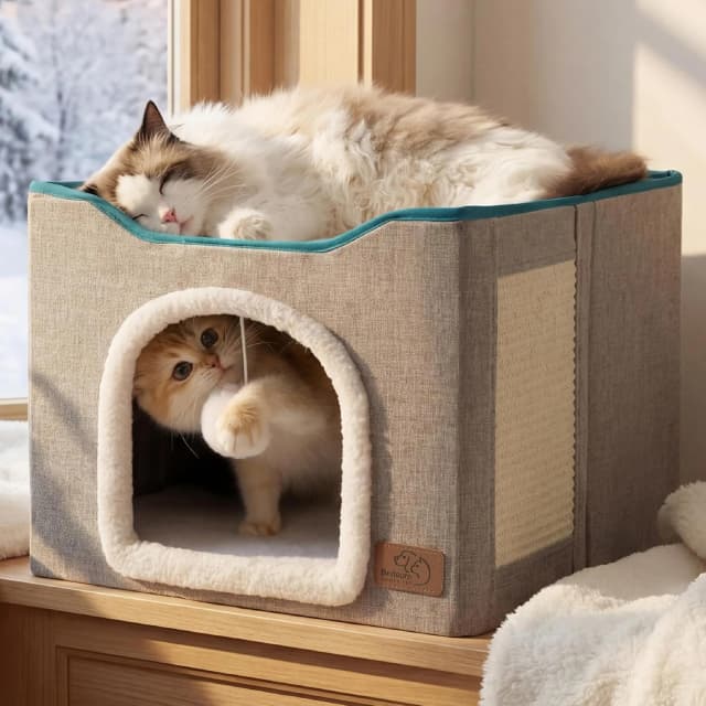 Cat House Bed for Indoor Cats with Fluffy Ball and Scratch Pad