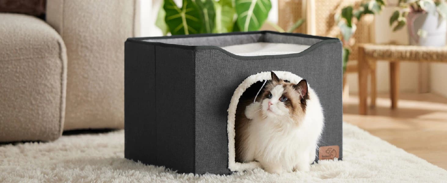 Cat House Bed for Indoor Cats with Fluffy Ball and Scratch Pad — product details