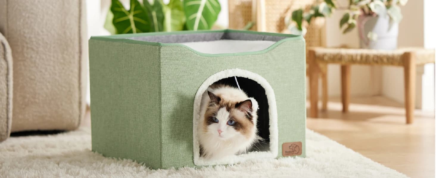 Cat House Bed for Indoor Cats with Fluffy Ball and Scratch Pad — product details